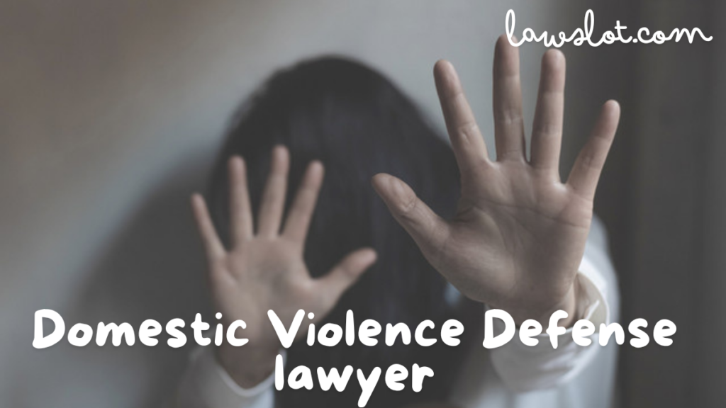 Domestic Violence Defense lawyer