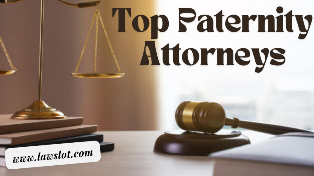 Top Paternity Attorneys